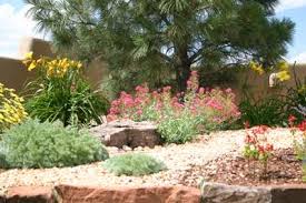 landscaping-ideas-for-desert-climates-57_7 Озеленяване идеи за пустинен климат