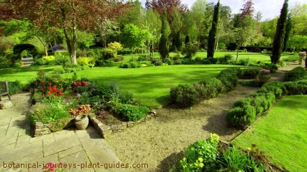 landscaping-ideas-for-large-backyards-22_14 Озеленяване идеи за големи дворове