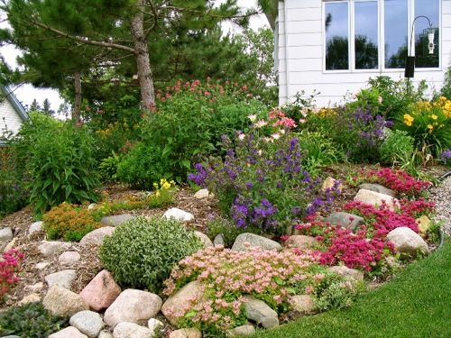 landscaping-ideas-for-rock-gardens-88_4 Озеленяване идеи за алпинеуми