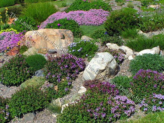 landscaping-ideas-for-rock-gardens-88_7 Озеленяване идеи за алпинеуми