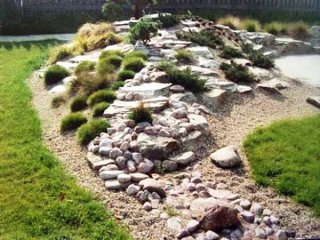 landscaping-ideas-for-rock-gardens-88_9 Озеленяване идеи за алпинеуми
