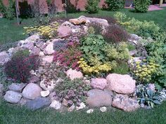 landscaping-ideas-rock-gardens-75_13 Озеленяване идеи алпинеуми
