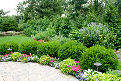 landscaping-ideas-shrubs-47 Озеленяване идеи храсти