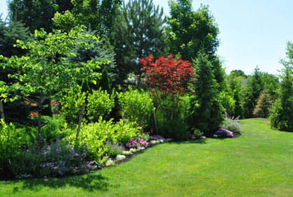 landscaping-ideas-shrubs-47_7 Озеленяване идеи храсти