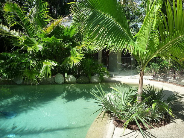 landscaping-ideas-tropical-50_10 Озеленяване идеи тропически