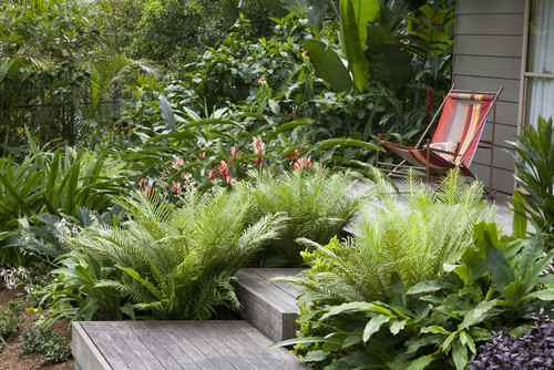 landscaping-ideas-tropical-50_14 Озеленяване идеи тропически