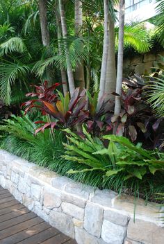 landscaping-ideas-tropical-50_15 Озеленяване идеи тропически