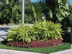 landscaping-ideas-tropical-50_5 Озеленяване идеи тропически