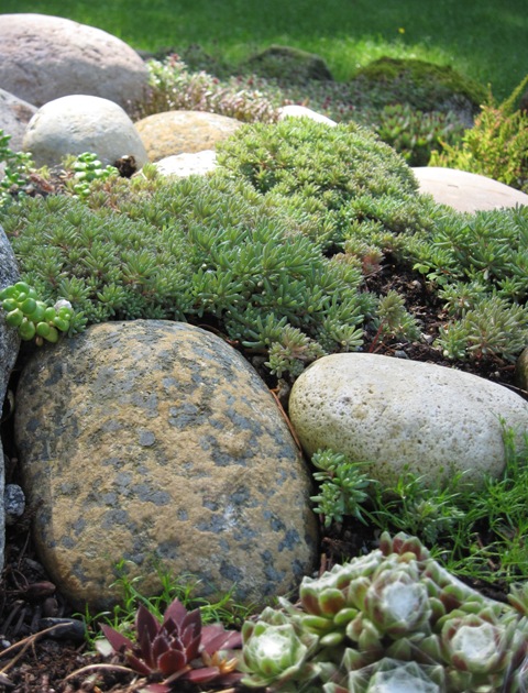 landscaping-ideas-with-big-rocks-15_12 Озеленяване идеи с големи скали