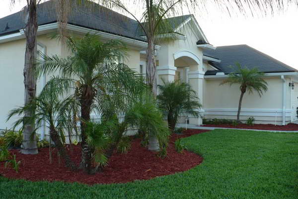 landscaping-ideas-with-palm-trees-61 Идеи за озеленяване с палми