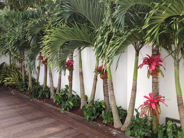 landscaping-ideas-with-palm-trees-61_16 Идеи за озеленяване с палми