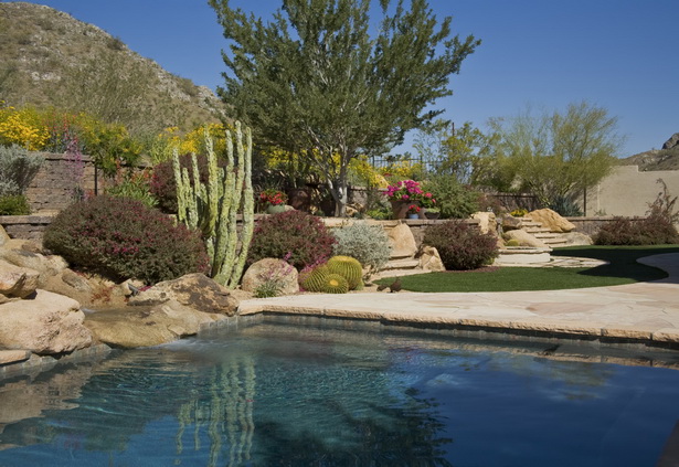 landscaping-in-phoenix-arizona-93_14 Озеленяване във Финикс Аризона