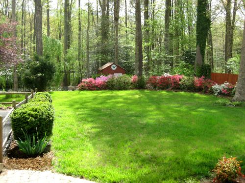 landscaping-large-backyard-61_16 Озеленяване голям заден двор