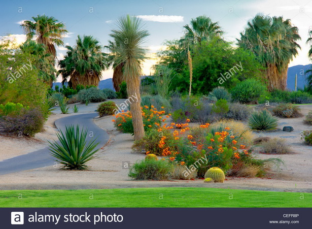 landscaping-palm-desert-19_14 Озеленяване Палм Дезърт