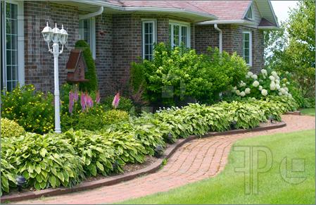 landscaping-photos-front-of-house-38_11 Озеленяване снимки пред къщата