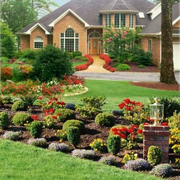 landscaping-plants-for-front-of-house-99_10 Озеленяване растения за предната част на къщата
