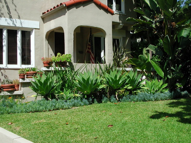 landscaping-plants-for-front-of-house-99_13 Озеленяване растения за предната част на къщата