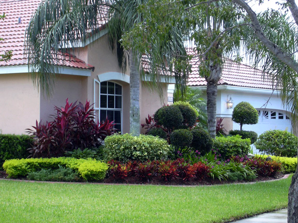 landscaping-plants-for-front-of-house-99_16 Озеленяване растения за предната част на къщата
