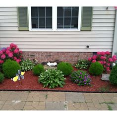 landscaping-plants-for-front-of-house-99_18 Озеленяване растения за предната част на къщата