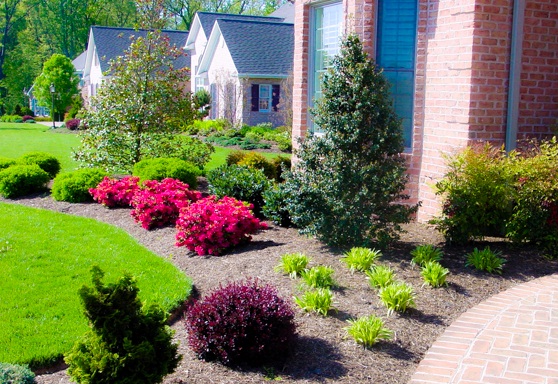landscaping-plants-front-yard-49_4 Озеленяване растения преден двор