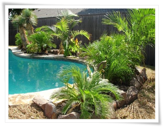 landscaping-pool-area-ideas-34_14 Идеи за озеленяване на басейна