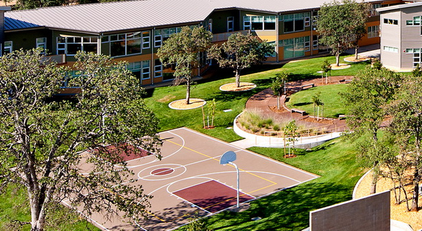 landscaping-school-69 Озеленяване училище