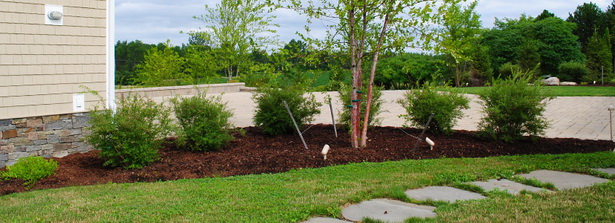 landscaping-shrubs-12_15 Озеленяване храсти