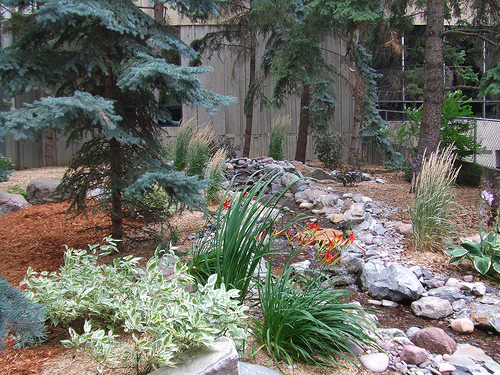 landscaping-small-backyard-ideas-33_12 Озеленяване на малък заден двор идеи