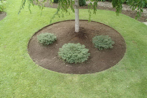 landscaping-trim-55_17 Озеленяване