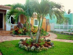 landscaping-with-palm-trees-ideas-84 Озеленяване с палмови дървета идеи
