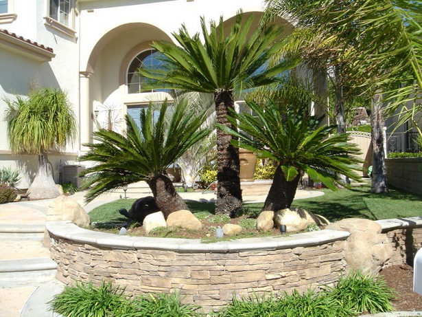 landscaping-with-palm-trees-ideas-84_11 Озеленяване с палмови дървета идеи