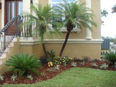 landscaping-with-palm-trees-ideas-84_17 Озеленяване с палмови дървета идеи