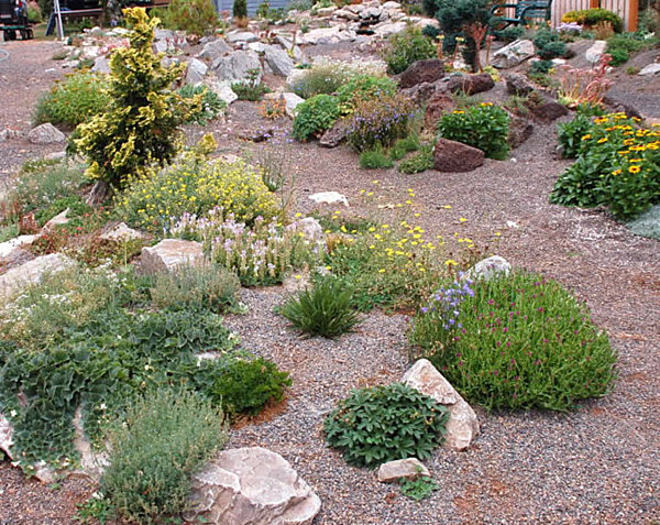 landscaping-with-rocks-and-plants-73 Озеленяване с камъни и растения