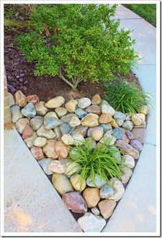 landscaping-with-rocks-and-plants-73_11 Озеленяване с камъни и растения