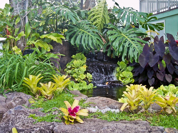 landscaping-with-tropical-plants-14 Озеленяване с тропически растения
