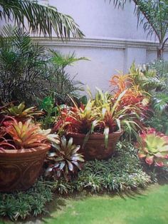 landscaping-with-tropical-plants-14_11 Озеленяване с тропически растения