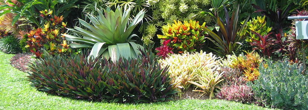 landscaping-with-tropical-plants-14_14 Озеленяване с тропически растения