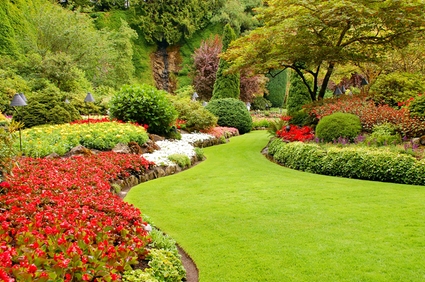 landscaping-your-garden-38_5 Озеленяване на вашата градина