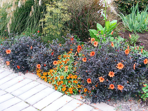 landscaping-your-yard-34_14 Озеленяване на вашия двор