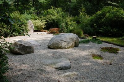 large-rocks-for-garden-25_13 Големи камъни за градина