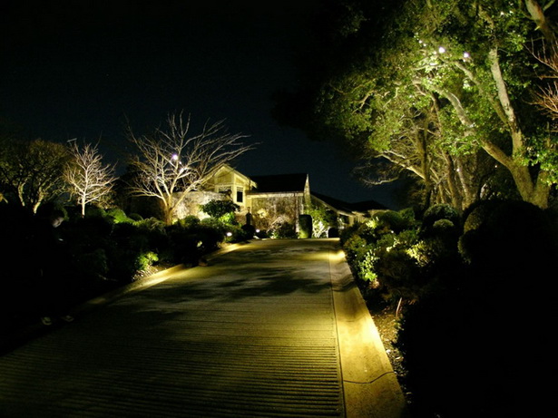 led-lights-for-outdoor-landscaping-75_18 Светодиодни светлини за външно озеленяване
