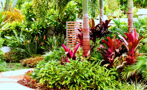 low-maintenance-tropical-garden-96_10 Ниска поддръжка тропическа градина