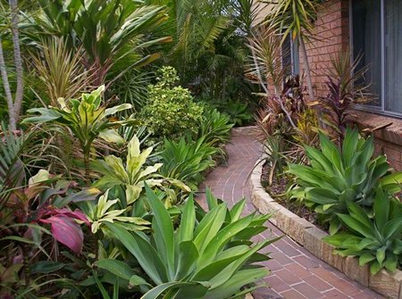 low-maintenance-tropical-garden-96_3 Ниска поддръжка тропическа градина