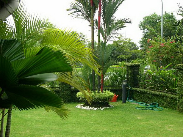 low-maintenance-tropical-garden-96_7 Ниска поддръжка тропическа градина