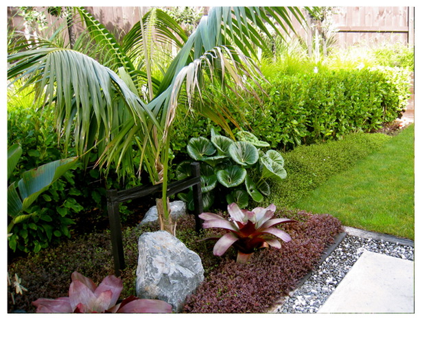low-maintenance-tropical-garden-96_8 Ниска поддръжка тропическа градина