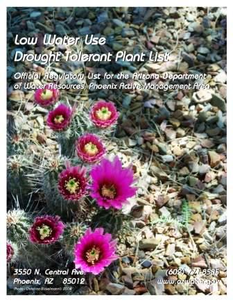 low-water-plants-arizona-92_19 Ниско водни растения Аризона