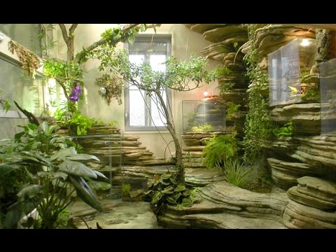 making-a-japanese-garden-72_14 Създаване на японска градина