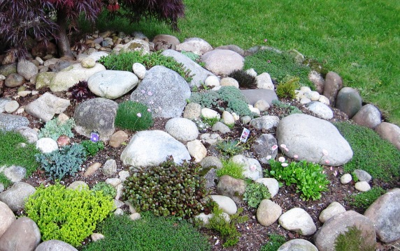 making-a-rock-garden-ideas-42_6 Осъществяване на рок градина идеи