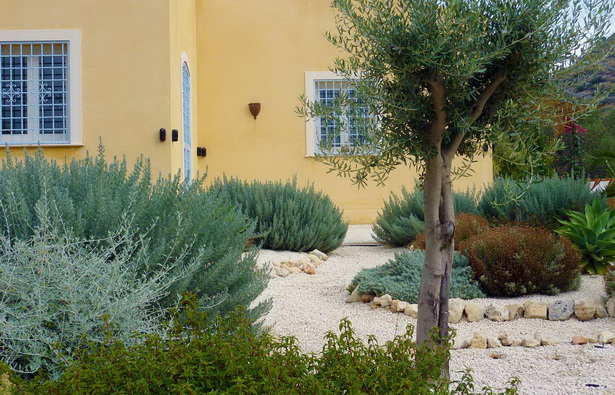 mediterranean-garden-design-10_19 Средиземноморска градина дизайн