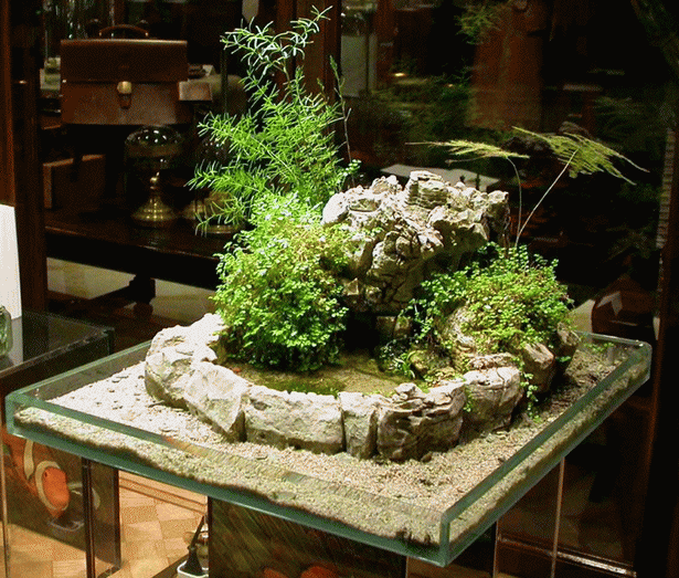 miniature-japanese-garden-57 Миниатюрна японска градина